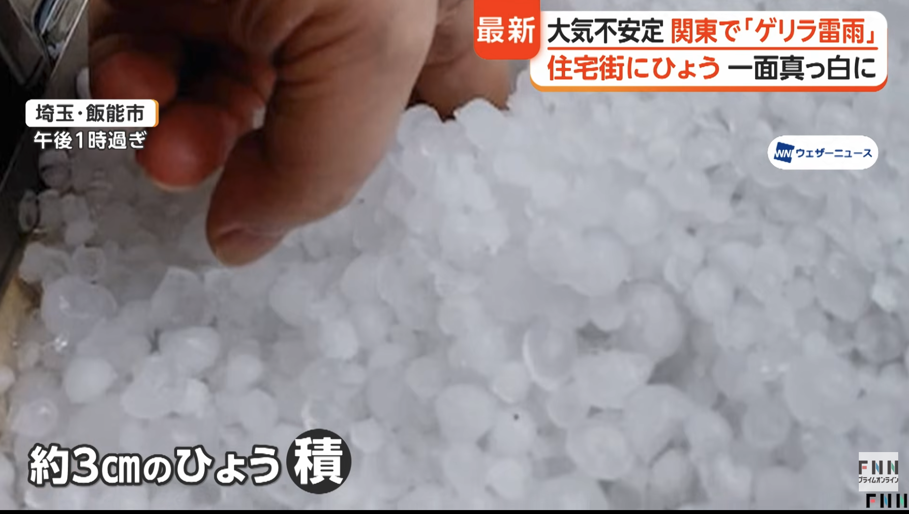 飯能市にて雹(ひょう)の大きな被害を受けました【2026年6月12日】