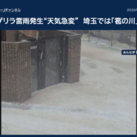 【入間市の雹・突風被害】屋根修理・雨樋修理の問い合わせが急増中です(2026年最新)